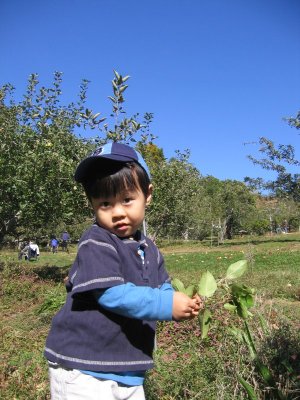 at Apple Farm in 2006
